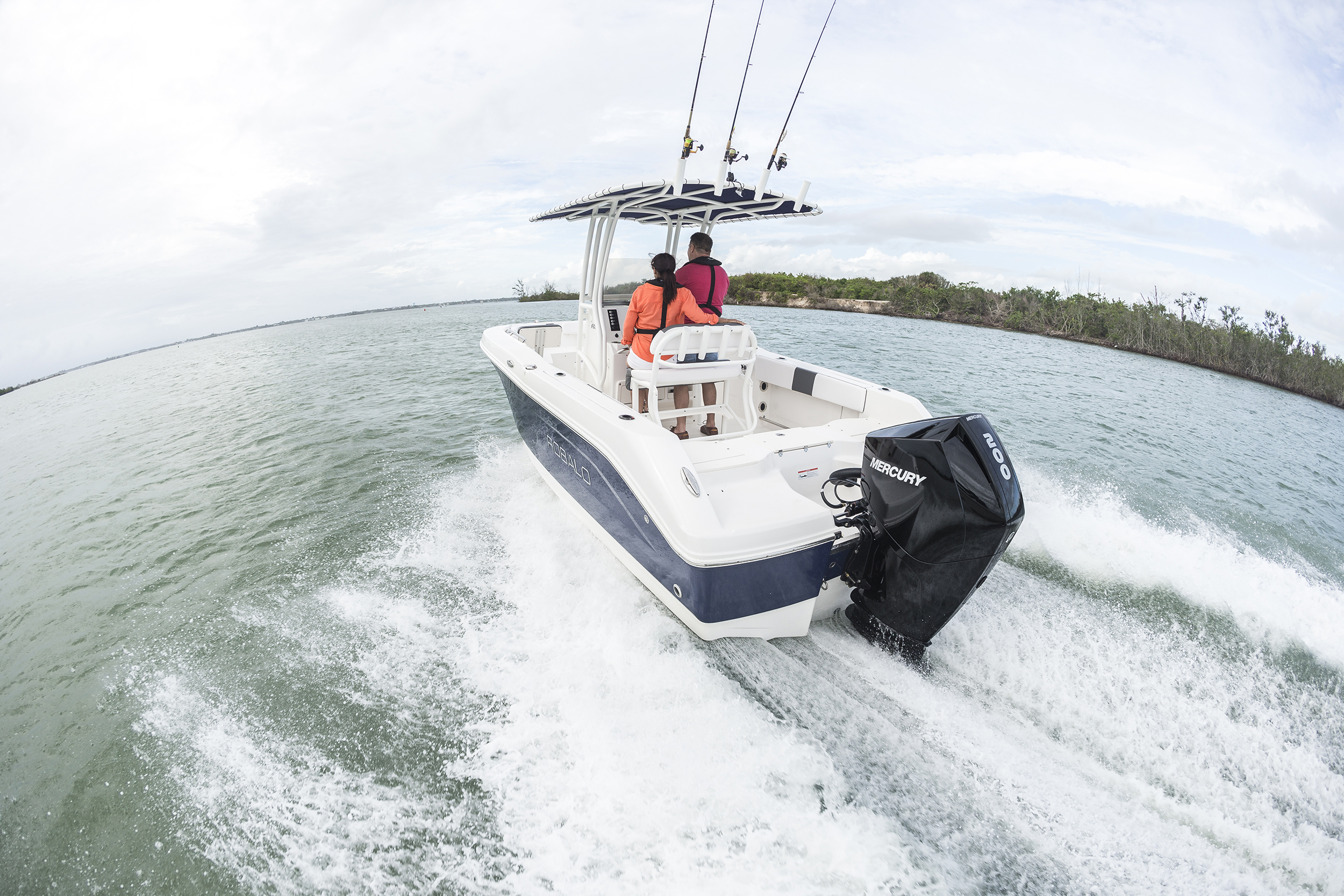 NewMercury 200Hp V6