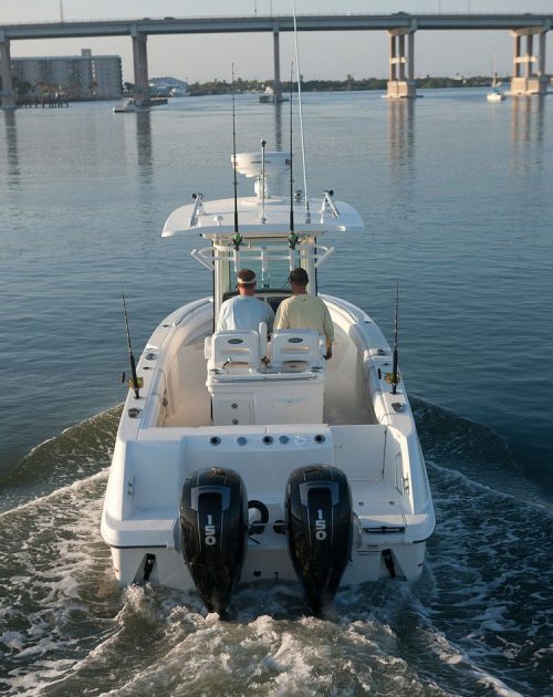 150-FourStroke_BWhaler2_Choice_1383