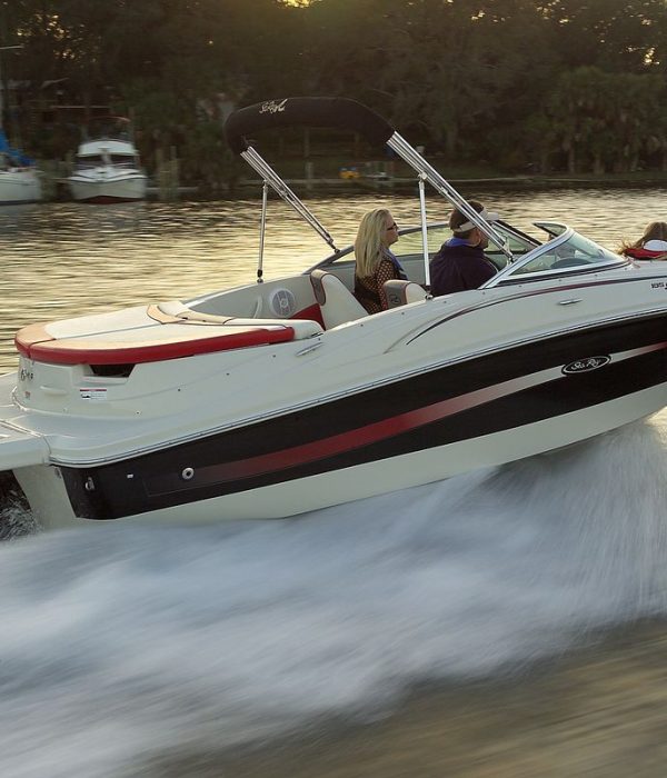 MerCruiser-Alpha_SeaRay-195_3636