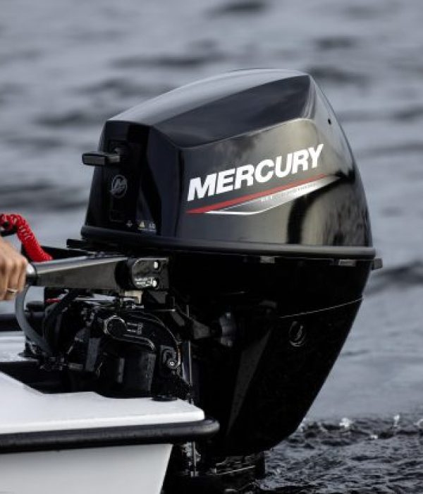 New Mercury Engines